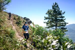 BIB: 
                            <button type="button" onclick="openModal(26608204)" class="btn btn-primary btn-sm float-right btn-popup" data-toggle="modal" data-target=".modal-high-quality">
                        <i class="fas fa-shopping-cart"></i> Add to Cart
                    </button>
                                            <button type="button" onclick="isThisMe(26608204, true)" class="btn btn-success btn-sm float-right btn-popup btn-isme hidden" data-toggle="tooltip" data-placement="bottom" title="นี่คือรูปของคุณใช่ไหม คลิกที่นี่เพื่อเอาเข้าอัลบั้ม">
                        <i class="fas fa-plus"></i> Add to album
                    </button>
                    <button type="button" onclick="isThisMe(26608204, false)" class="btn btn-warning btn-sm float-right btn-popup btn-isnotme hidden">
                        <i class="fas fa-ban"></i> Remove from album
                    </button>